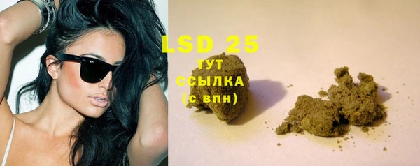 PSILOCYBIN Бугульма