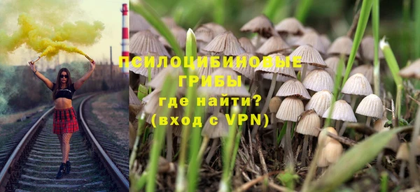 первитин Богородицк