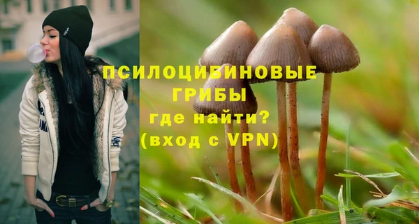 наркотики Богданович